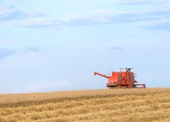 CMN autoriza prorrogação de dívidas de produtores do RS afetados pela seca