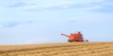 CMN autoriza prorrogação de dívidas de produtores do RS afetados pela seca