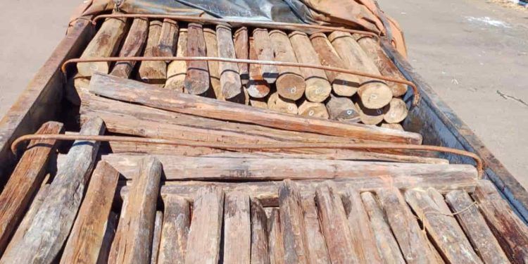 Carga de madeira nativa da Amazônia e em risco de extinção é apreendida em Goiás