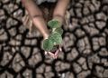 Conferência Nacional define ações prioritárias para enfrentar a crise climática