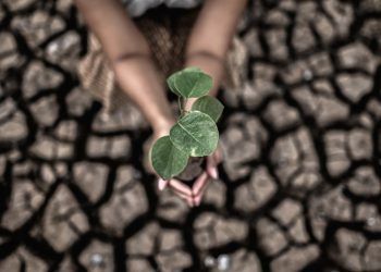 Conferência Nacional define ações prioritárias para enfrentar a crise climática