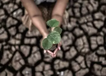 Conferência Nacional define ações prioritárias para enfrentar a crise climática