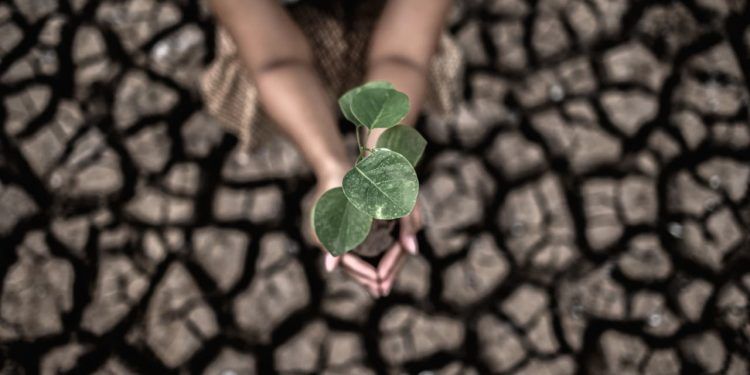 Conferência Nacional define ações prioritárias para enfrentar a crise climática