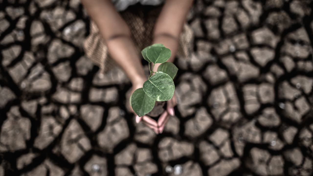 Conferência Nacional define ações prioritárias para enfrentar a crise climática