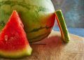 Controle fitossanitário assegura exportação de frutas de Goiás