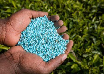 Crescimento da indústria em março é impulsionado pelo setor agropecuário