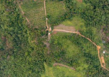 Dados do Inpe mostram alta nos alertas de desmatamento na Amazônia em abril