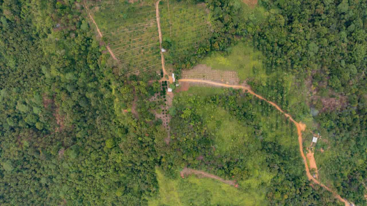Dados do Inpe mostram alta nos alertas de desmatamento na Amazônia em abril