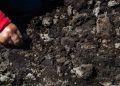 Estudo detalha distribuição de carbono orgânico no solo em diferentes regiões do Rio de Janeiro