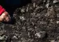 Estudo detalha distribuição de carbono orgânico no solo em diferentes regiões do Rio de Janeiro