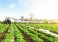 FCO Rural destina recursos a 76 municípios goianos em nova liberação