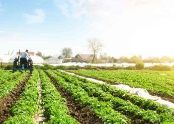 FCO Rural destina recursos a 76 municípios goianos em nova liberação