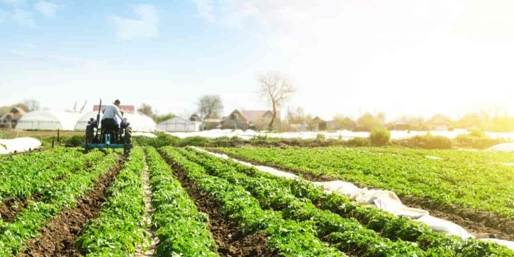 FCO Rural destina recursos a 76 municípios goianos em nova liberação