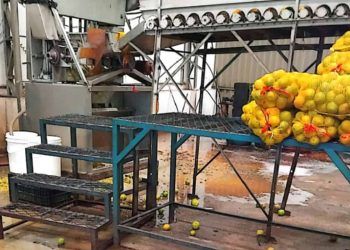 Fábricas de suco são interditadas por operar sem registro em São Paulo