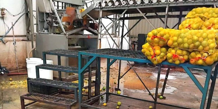 Fábricas de suco são interditadas por operar sem registro em São Paulo