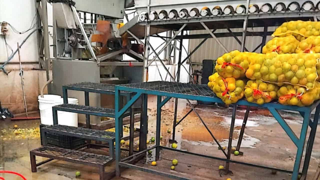 Fábricas de suco são interditadas por operar sem registro em São Paulo