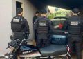 Investigação aponta esquema de furto de gado e abate ilegal em Goiás