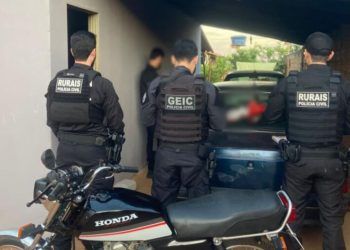 Investigação aponta esquema de furto de gado e abate ilegal em Goiás