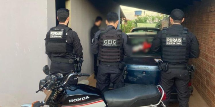 Investigação aponta esquema de furto de gado e abate ilegal em Goiás
