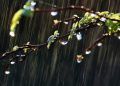 Junho terá clima irregular com chuvas concentradas e calor acima da média