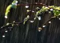Junho terá clima irregular com chuvas concentradas e calor acima da média