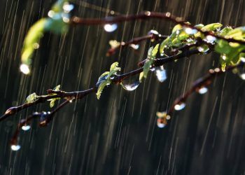 Junho terá clima irregular com chuvas concentradas e calor acima da média