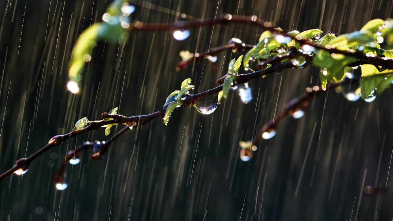 Junho terá clima irregular com chuvas concentradas e calor acima da média