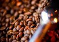 Lotes de café torrado com impurezas e toxinas são retirados do mercado