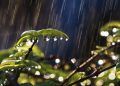 Maio deve ter chuvas irregulares e temperaturas acima da média no Brasil