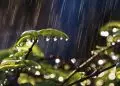 Maio deve ter chuvas irregulares e temperaturas acima da média no Brasil