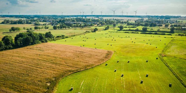 Maioria dos quilombolas vive em áreas rurais e enfrenta precariedade no saneamento