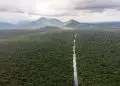 Mata Atlântica e Pampa passam a contar com planos específicos de proteção ambiental