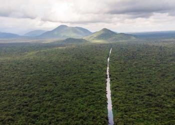 Mata Atlântica e Pampa passam a contar com planos específicos de proteção ambiental