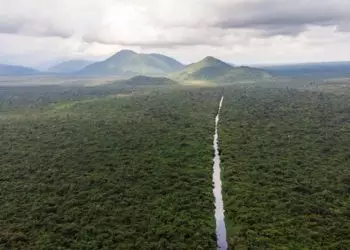 Mata Atlântica e Pampa passam a contar com planos específicos de proteção ambiental