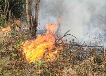 Nova câmara técnica vai unir esforços de união, estados e municípios contra incêndios