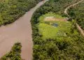 Novo programa fortalece inclusão financeira na sociobioeconomia da Amazônia e Cerrado