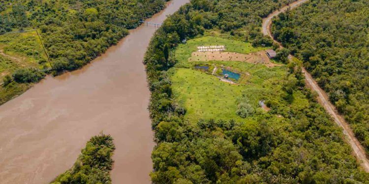 Novo programa fortalece inclusão financeira na sociobioeconomia da Amazônia e Cerrado