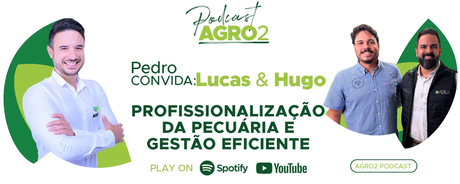 Podcast com Lucas Almeida e Hugo Peron