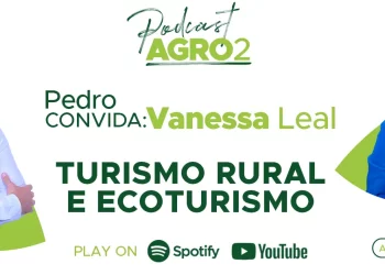 Podcast com Vanessa Leal
