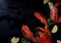 Portaria define limite de captura e regras para pesca da lagosta vermelha em 2025