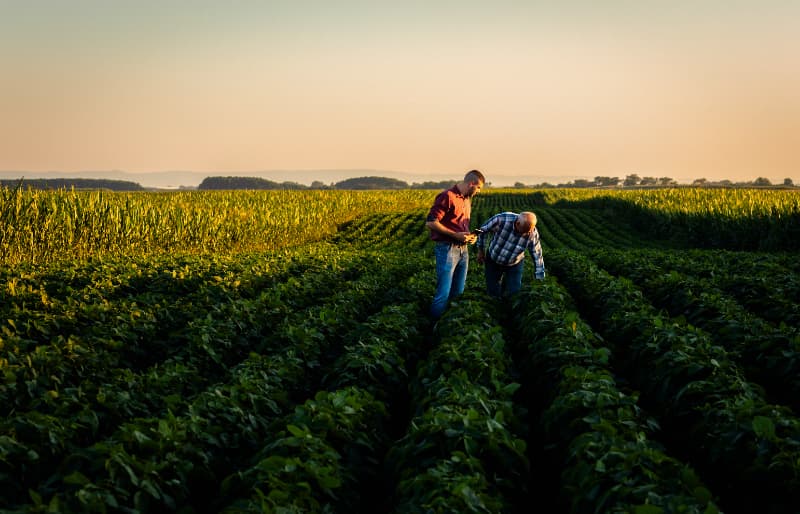 Estudo atualiza potencial agrícola das terras brasileiras em nível regional 3 Potencial das terras