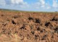 Programa Solo Vivo inicia recuperação de solos agrícolas em Mato Grosso