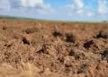 Programa Solo Vivo inicia recuperação de solos agrícolas em Mato Grosso
