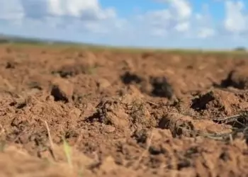 Programa Solo Vivo inicia recuperação de solos agrícolas em Mato Grosso