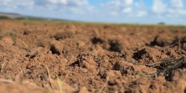 Programa Solo Vivo inicia recuperação de solos agrícolas em Mato Grosso