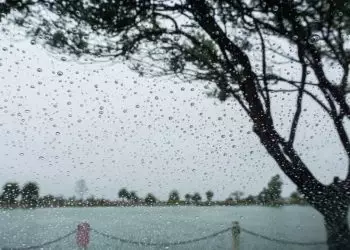 Semana começa com chuvas intensas no Norte e tempo estável no Sudeste