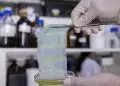 Cientistas brasileiros desenvolveram uma embalagem inteligente que muda de cor à medida que o alimento se degrada. O projeto foi conduzido por pesquisadores da Embrapa Instrumentação (SP), em colaboração com a Embrapa Agroindústria de Alimentos (RJ) e a Universidade de Illinois, em Chicago (EUA). A base da inovação são pigmentos naturais extraídos do repolho roxo. Embalagem inteligente A técnica utilizada, chamada de fiação por sopro em solução, permitiu a produção de mantas compostas por nanofibras com propriedades sensíveis à deterioração dos alimentos. Essa embalagem interativa reage quimicamente às substâncias emitidas pelo alimento em decomposição, alterando sua cor em tempo real. Em testes com filé de merluza, a manta apresentou excelente desempenho, mudando de roxo para azul conforme o peixe perdia a qualidade. Nos primeiros estágios, a embalagem mantinha a coloração roxa, indicando um produto ainda fresco. Após um dia, essa tonalidade começou a desbotar. Em 48 horas, surgiram tons azul-acinzentados, e, ao final de 72 horas, o azul predominante apontava para a deterioração completa do peixe, tudo isso sem a necessidade de abrir a embalagem. Segundo os especialistas da Embrapa, essas mantas de nanofibras funcionam como sensores visuais, capazes de indicar, com precisão, o frescor de peixes e frutos do mar. No entanto, os pesquisadores ressaltam que ainda é preciso ampliar os testes para outras espécies e produtos alimentícios.  Eletrofiação A técnica de fiação por sopro em solução (SBS, do inglês Solution Blow Spinning), empregada no estudo, surgiu em 2009 a partir de uma parceria entre a Universidade Federal da Paraíba (UFPB), a Embrapa Instrumentação e o Departamento de Agricultura dos Estados Unidos (USDA). Diferentemente da eletrofiação, que é mais demorada, cara e limitada em termos de produção, a SBS forma nanofibras em até duas horas sem necessidade de altas voltagens. As nanofibras geradas têm dimensão inferior a um milésimo de milímetro e podem compor materiais semelhantes a tecidos. A pesquisa, supervisionada pelo cientista Luiz Henrique Capparelli Mattoso, também contou com participação da Universidade de Illinois. Durante o desenvolvimento, foram utilizados pigmentos conhecidos como antocianinas, substâncias naturais encontradas em vegetais, flores e frutas que apresentam cores variadas e reagem às mudanças de pH. Extraídas de resíduos de repolho roxo, as antocianinas demonstraram ser ótimos indicadores de deterioração. No total, mais de dez pigmentos vegetais foram testados. Ao serem integradas ao polímero biodegradável policaprolactona, as antocianinas mostraram excelente capacidade de detectar alterações químicas associadas à degradação do peixe. O pesquisador Josemar Gonçalves de Oliveira Filho, responsável pelo desenvolvimento da manta em seu pós-doutorado, destaca o potencial de ampliar o uso dessa tecnologia para outras embalagens alimentares. Segundo ele, embora haja registros de estudos com antocianinas em materiais inteligentes, seu uso em nanofibras ainda é pouco explorado.