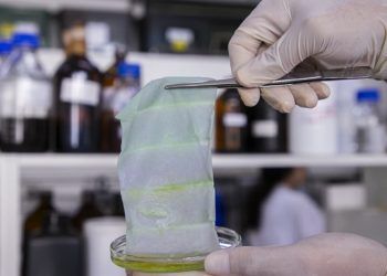 Cientistas brasileiros desenvolveram uma embalagem inteligente que muda de cor à medida que o alimento se degrada. O projeto foi conduzido por pesquisadores da Embrapa Instrumentação (SP), em colaboração com a Embrapa Agroindústria de Alimentos (RJ) e a Universidade de Illinois, em Chicago (EUA). A base da inovação são pigmentos naturais extraídos do repolho roxo. Embalagem inteligente A técnica utilizada, chamada de fiação por sopro em solução, permitiu a produção de mantas compostas por nanofibras com propriedades sensíveis à deterioração dos alimentos. Essa embalagem interativa reage quimicamente às substâncias emitidas pelo alimento em decomposição, alterando sua cor em tempo real. Em testes com filé de merluza, a manta apresentou excelente desempenho, mudando de roxo para azul conforme o peixe perdia a qualidade. Nos primeiros estágios, a embalagem mantinha a coloração roxa, indicando um produto ainda fresco. Após um dia, essa tonalidade começou a desbotar. Em 48 horas, surgiram tons azul-acinzentados, e, ao final de 72 horas, o azul predominante apontava para a deterioração completa do peixe, tudo isso sem a necessidade de abrir a embalagem. Segundo os especialistas da Embrapa, essas mantas de nanofibras funcionam como sensores visuais, capazes de indicar, com precisão, o frescor de peixes e frutos do mar. No entanto, os pesquisadores ressaltam que ainda é preciso ampliar os testes para outras espécies e produtos alimentícios.  Eletrofiação A técnica de fiação por sopro em solução (SBS, do inglês Solution Blow Spinning), empregada no estudo, surgiu em 2009 a partir de uma parceria entre a Universidade Federal da Paraíba (UFPB), a Embrapa Instrumentação e o Departamento de Agricultura dos Estados Unidos (USDA). Diferentemente da eletrofiação, que é mais demorada, cara e limitada em termos de produção, a SBS forma nanofibras em até duas horas sem necessidade de altas voltagens. As nanofibras geradas têm dimensão inferior a um milésimo de milímetro e podem compor materiais semelhantes a tecidos. A pesquisa, supervisionada pelo cientista Luiz Henrique Capparelli Mattoso, também contou com participação da Universidade de Illinois. Durante o desenvolvimento, foram utilizados pigmentos conhecidos como antocianinas, substâncias naturais encontradas em vegetais, flores e frutas que apresentam cores variadas e reagem às mudanças de pH. Extraídas de resíduos de repolho roxo, as antocianinas demonstraram ser ótimos indicadores de deterioração. No total, mais de dez pigmentos vegetais foram testados. Ao serem integradas ao polímero biodegradável policaprolactona, as antocianinas mostraram excelente capacidade de detectar alterações químicas associadas à degradação do peixe. O pesquisador Josemar Gonçalves de Oliveira Filho, responsável pelo desenvolvimento da manta em seu pós-doutorado, destaca o potencial de ampliar o uso dessa tecnologia para outras embalagens alimentares. Segundo ele, embora haja registros de estudos com antocianinas em materiais inteligentes, seu uso em nanofibras ainda é pouco explorado.
