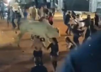 Touro foge de curral e assusta público durante roderio em Goiás