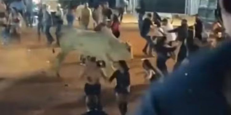 Touro foge de curral e assusta público durante roderio em Goiás